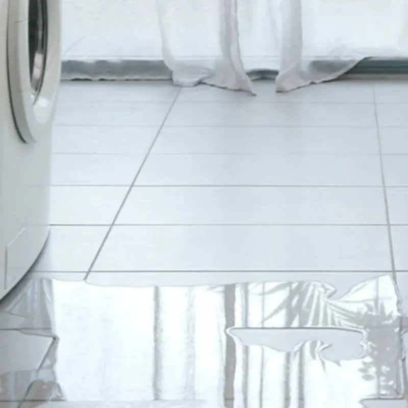 Appliance Leak Cleanup in Leawood, KS