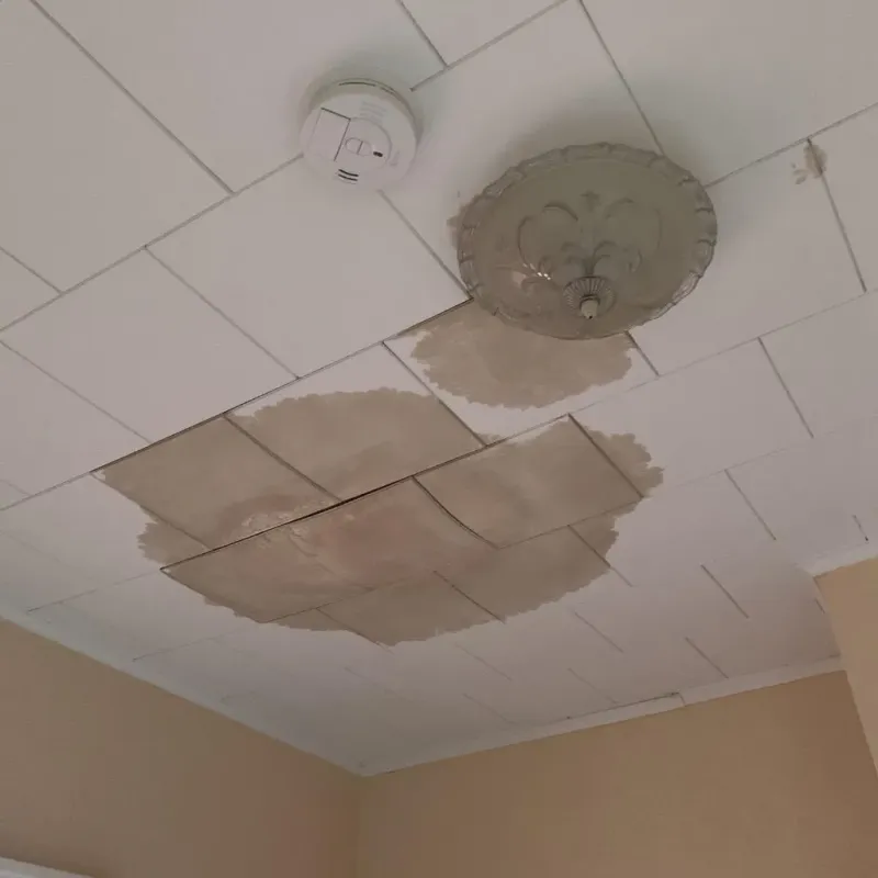 Ceiling Water Damage Repair in Leawood, KS