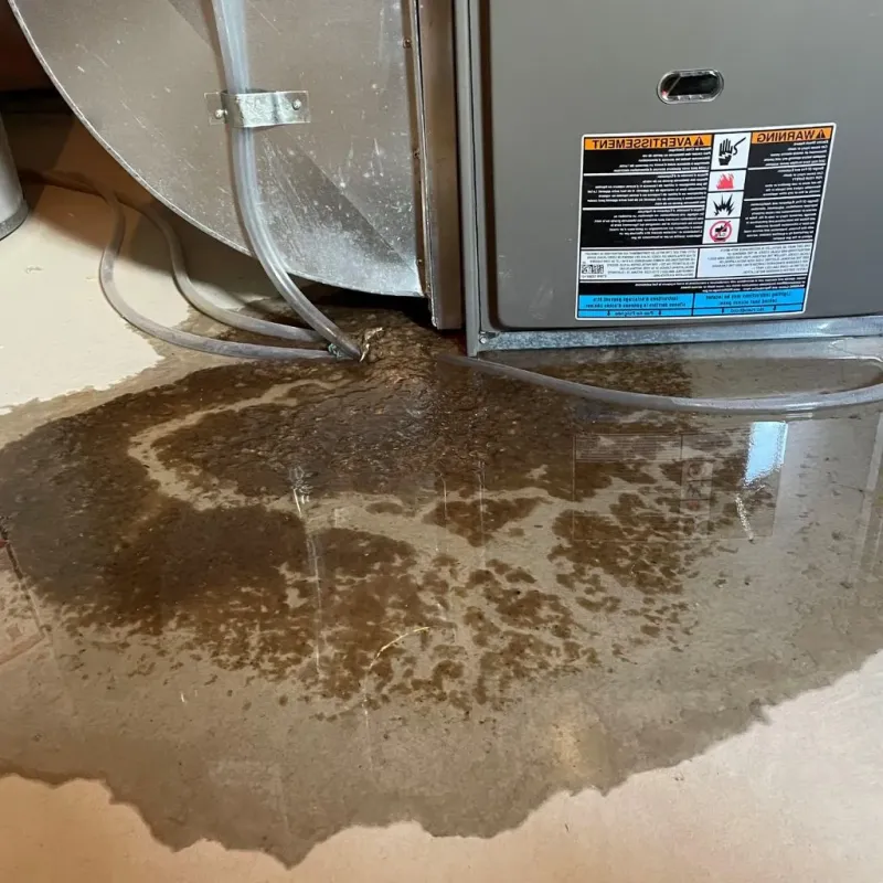 Pipe Burst and Leak Restoration in Leawood, KS